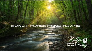 Rythm Orange | Ambient music | Sunlit forest and ravine | Relax \u0026 Chill \u0026 Study \u0026 Work