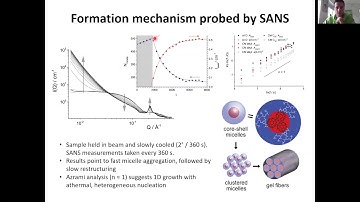 Better with Scattering workshop 2020: Formation & magnetic alignment of a photoconductive organogel
