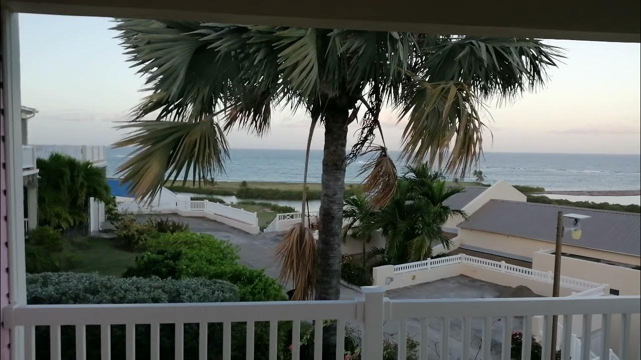 UAE ST. KITTS TAX DIFFERENCES, AND MORE DETAILS TO KNOW IF YOU DO YOUR