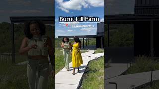 NEW DMV Winery - Must visit this summer ! #dmvthingstodo #dmv #dmveats #winery #winetasting #dclife