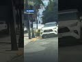 Oso pasea y busca comida en San Jerónimo | Monterrey