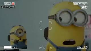 Snap Wa 30 detik Minions kartun