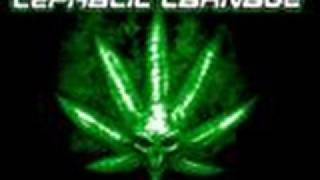 Cephalic Carnage - kill for weed