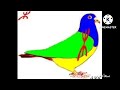 تسليت ايت عطا اكسيسوارات