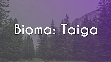 Quelle est la définition du mot taïga ?
