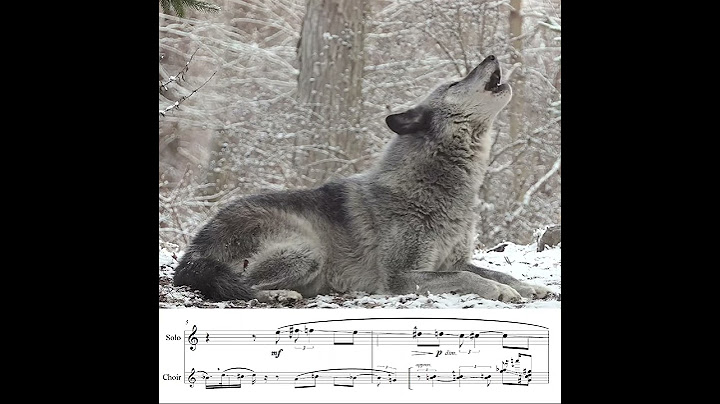 Gray Wolf: Vocalization in Sheet Music