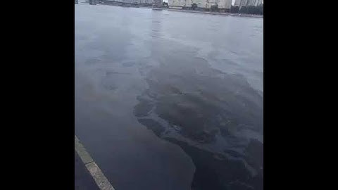 расплата за красивый отдых - мазут в Волге