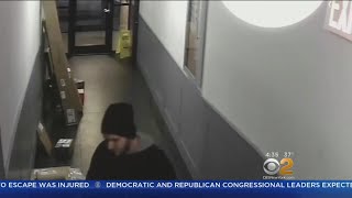 Famous Search For Suspect In Brooklyn Attempted Rape Net Worth
