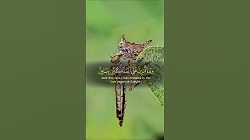 تلاوه خاشعه #اكسبلور #trending #حالات_واتس #المصحف #راحة_نفسية #المراه #دويتو #اعتني #duet #ايقنت