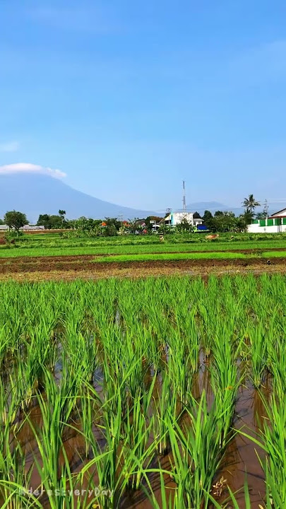 Gunung sindoro dan gunung sumbing. #alquran #asmr #santri #cinematic #sholawat