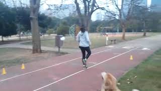 VID-20180705-WA0005.mp4