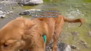 We rented a creekside Oasis