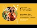 Quo Vadis wine world | Klára Kollárová, Jan Čeřovský