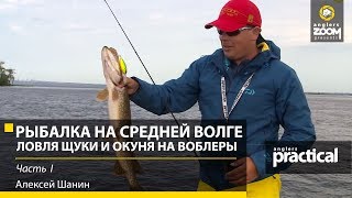 видео: Рыбалка на Средней Волге. Крупный окунь на воблеры-минноу. Алексей Шанин. Часть 1. Anglers Practical картинка: Рыбалка на Средней Волге. Крупный окунь на воблеры-минноу. Алексей Шанин. Часть 1. Anglers Practical