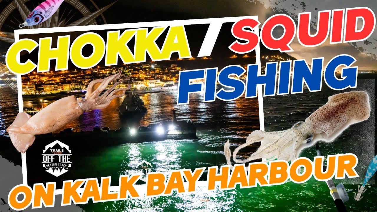 Choukka Fish Hooked on Squid! 🎣 My First Time Fishing Chokka in Kalk Bay Harbour ...