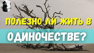 Полезно ли жить человеку одному?Максим Каскун