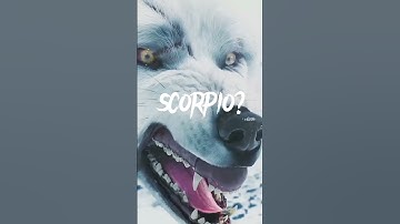 ??#zodiak #paling #ditakuti