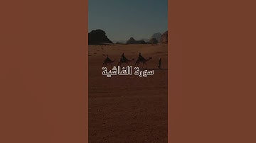 أفلا ينظرون إلى الإبل كيف خلقت | تلاوة خاشعة | حالات واتس اب دينيه | حالات دينيه | ستوريات واتس اب
