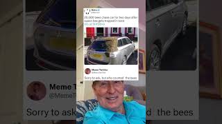 20,000 Bees Chase Car For 2 Days After The Queen Bee Gets Trapped in a Boot.