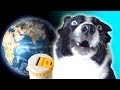 Talking Dog Saves the World – Podcycle Kickstarter