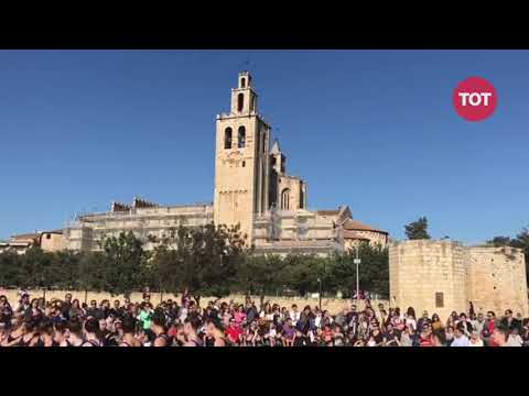 Vídeo: Festa De La Verema 