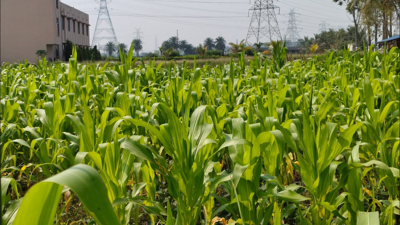 প্রশিক্ষণ শিবিরে আমরা #countingjourney #memories 