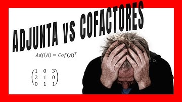 Matriz ADJUNTA VS Matriz de COFACTORES | Las Mates Molan