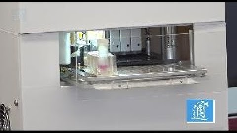 香港理大研發出快速診斷系統　可於1小時內檢測新冠病毒