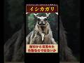 山の神かもしれない謎の生物3選 #かぎあな紹介 #shorts
