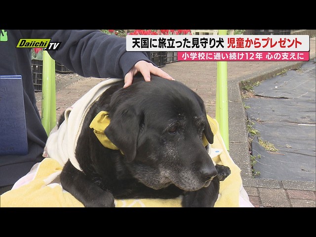 子守しながら話を聞いてくれるパパ犬 Guardian Dog