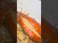 Late night special #new #shorts #video  #food