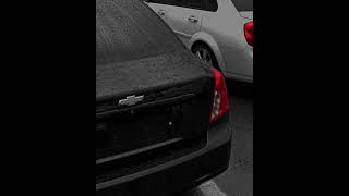 Kotta Bolla Music Bass Jentrauzb001