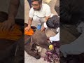 Injured cow 🐄self treatment #cow #socialwork #animalwelfare #animalrescue