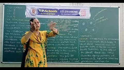 STD 8 CBSE | SCIENCE LEC 28 | S P SCHOOL SURENDRANAGAR