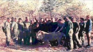 South African Defense Force