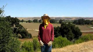 MVI_6375.AVI