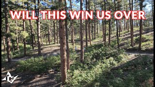 Dawson Butte Trail Colorado