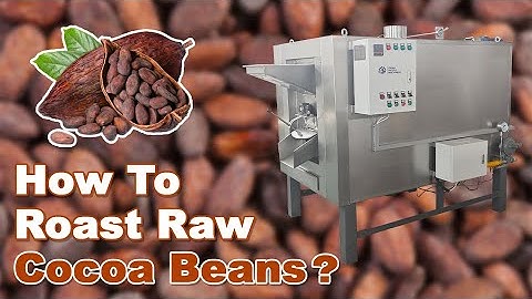 How To Roast Raw Cocoa Beans？---Cocoa Bean Roasting Machine #cacao #cocoabean #roastingmachine