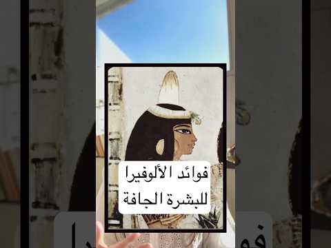 فوائد الألوفيرا للبشرة المغرب العناية بالبشرة اكسبلور