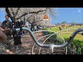 Cycling under cherry blossoms in Gyeongju 🌸🚴‍♂️경주 벚꽃길 자전거 라이딩[Đạp xe dưới hàng anh đào ở Gyeongju]