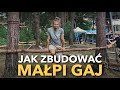 Jak zbudować Małpi Gaj - Podstawy montażu belek na drzewach