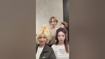 ･ﾟ✧ℝ𝕪𝕦𝕛𝕚𝕟