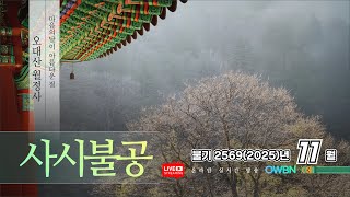 불기2569(2025)년 11월 17일 월요일  | OWBN 오대산 월정사 사시불공