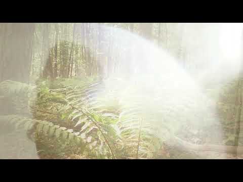 Natureboy Flako — Natureboy Flako - Ode To Piotr Kamler (Official Video)