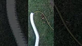 DIY pure genius gopher control