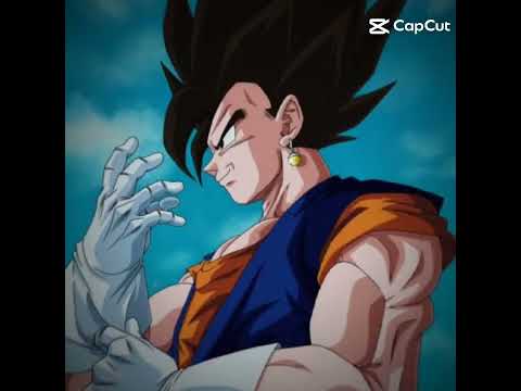 Y O S H A Vegito Yosha