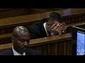 Oscar Pistorius Trial Day 26: Athlete Was 'Frantic'