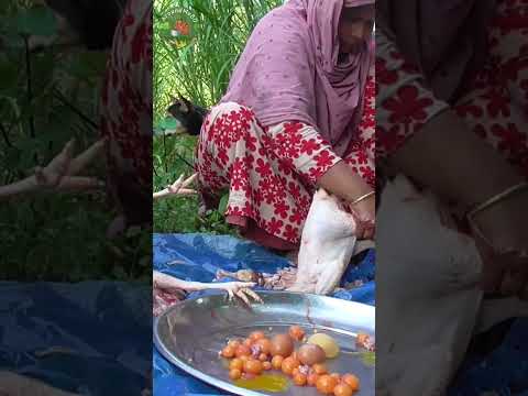 Egg Layer Chicken Processing & Cutting by Village Lady