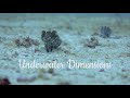 Azra Thabassum | Underwater Dimensions | Digital Online 2023