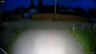 Grey stray cat trigger Ring security camera!